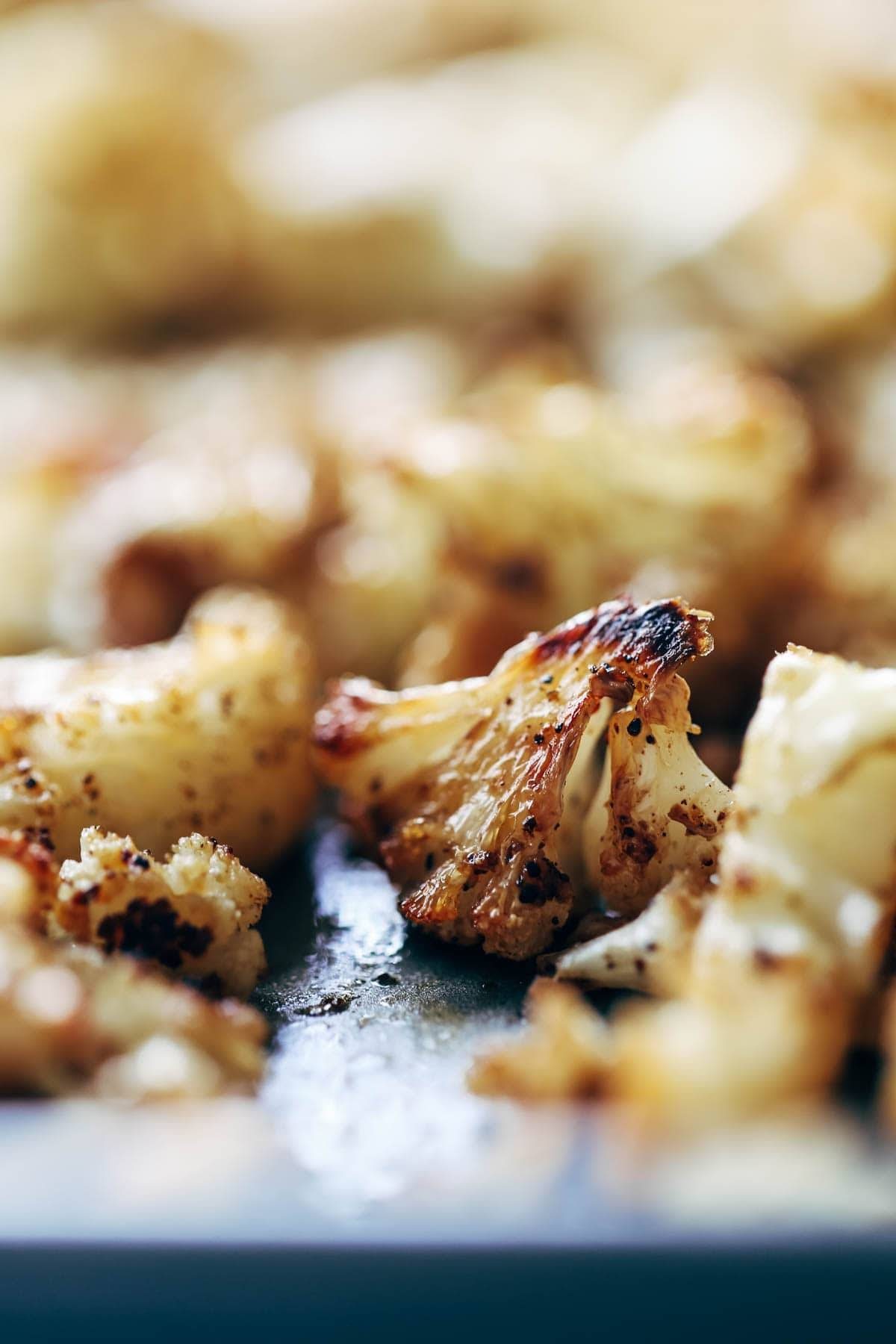 Keep your glow all winter! Easy homemade falafel, roasted veggies, and flavorful sauce all in one big bliss bowl! vegetarian / vegan / gluten free recipe. | pinchofyum.com Keep your glow all winter! Easy homemade falafel, roasted veggies, and flavorful sauce all in one big bliss bowl! vegetarian / vegan / gluten free recipe. | pinchofyum.com